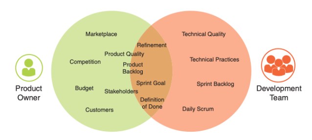 The Professional Product Owner